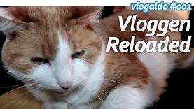 Vloggen Reloaded // vlogaldo #001